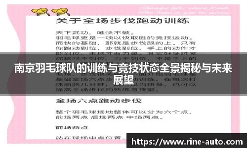 南京羽毛球队的训练与竞技状态全景揭秘与未来展望